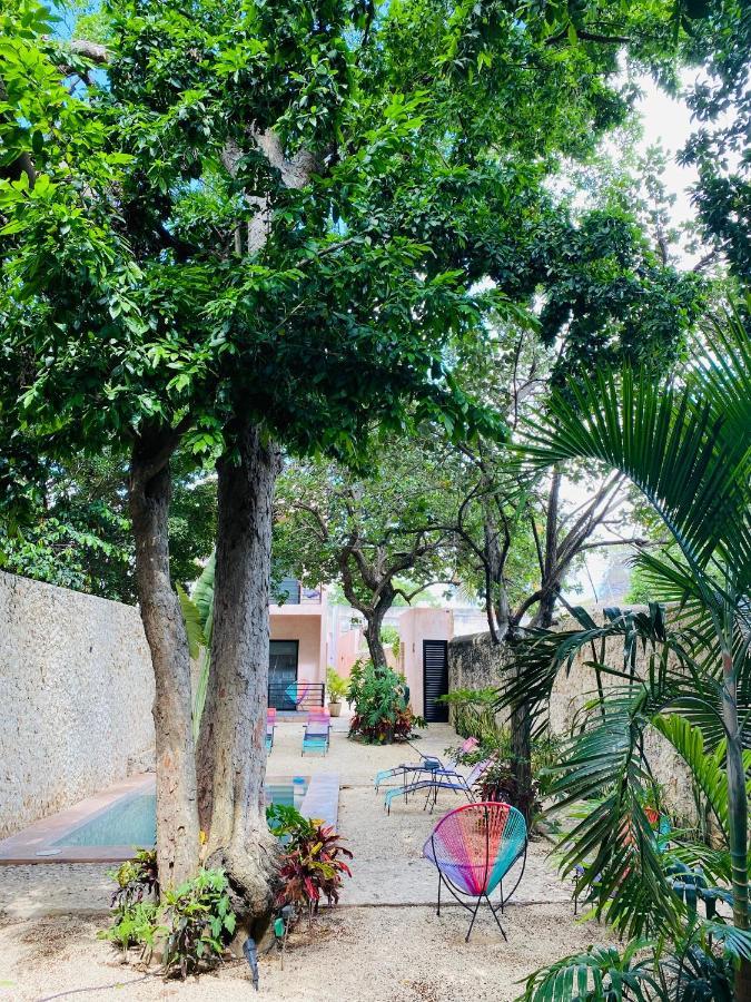 Hotelito Yum Kaax เมริดา ภายนอก รูปภาพ